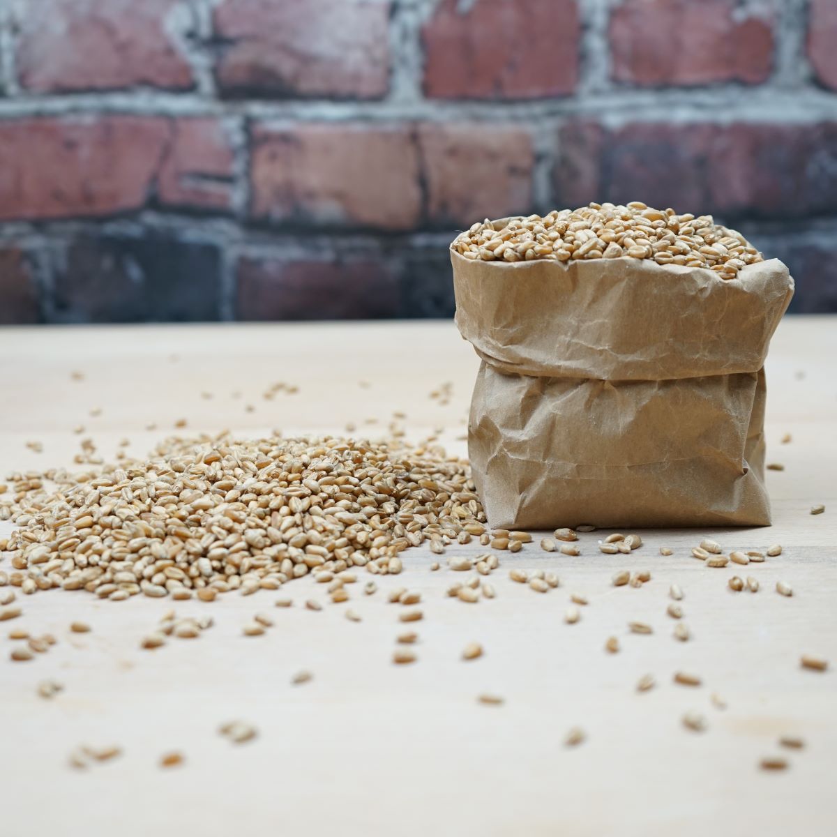 Weizen ganzes Korn 1 kg – Der natürliche Alleskönner – nicht nur für Körner-Kenner!
