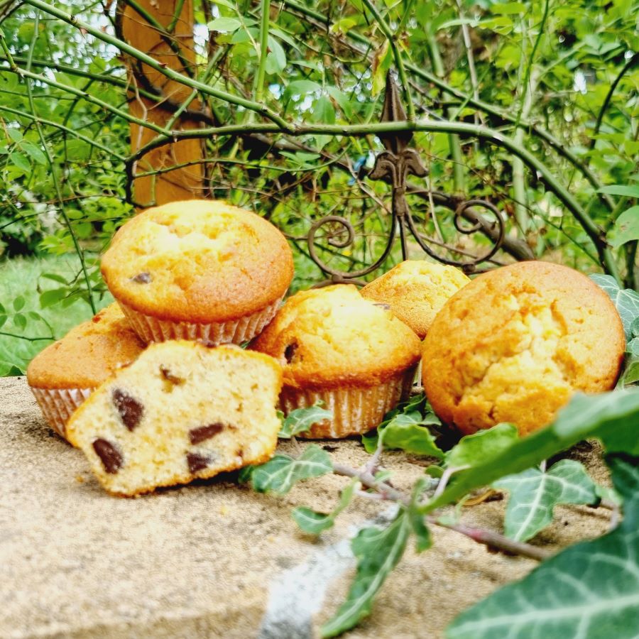 Muffins Backmischung 1kg - mit leckeren Schokodrops