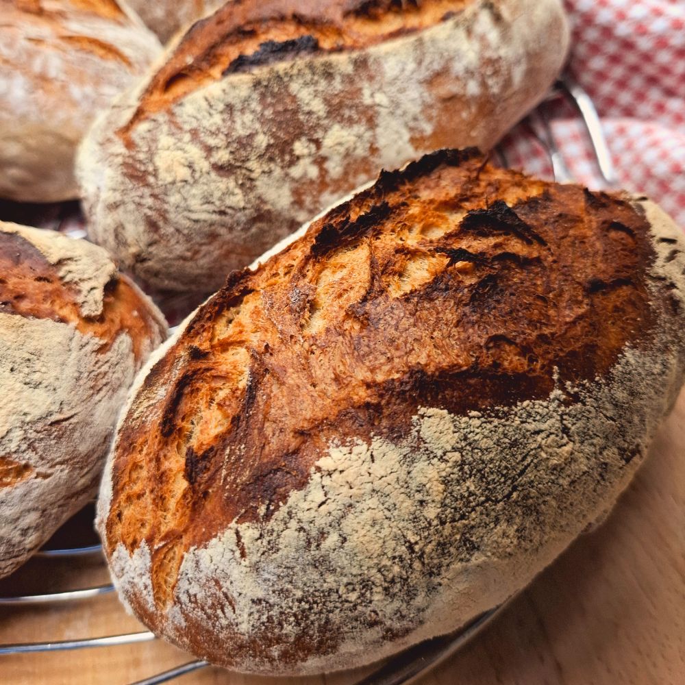 Saftige Brötchen mit Dinkelgrieß